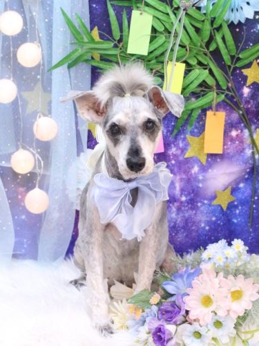 20250708ジャッキーくん